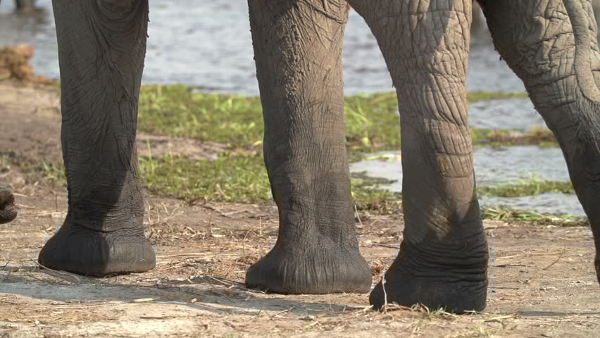 Agile with no Refactoring is no&nbsp;Agile