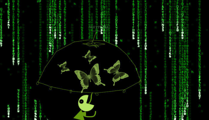 MS CRM Development: coding vs no-coding&nbsp;solutions