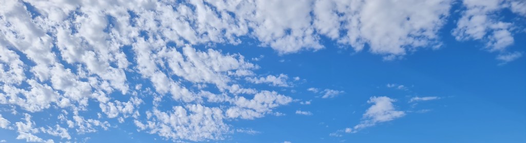 “Do DLP policies apply to Developer environments?”