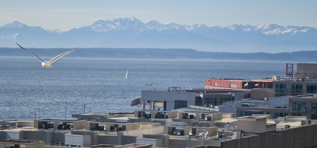 Power Platform for Admins: create Dataverse with Dynamics 365 apps&nbsp;enabled